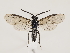  ( - ZMUO.032691)  @12 [ ] CreativeCommons - Attribution Non-Commercial (2018) Marko Mutanen University of Oulu