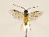  ( - ZMUO.032720)  @12 [ ] CreativeCommons - Attribution Non-Commercial (2018) Marko Mutanen University of Oulu
