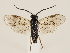  ( - ZMUO.032738)  @14 [ ] CreativeCommons - Attribution Non-Commercial (2018) Marko Mutanen University of Oulu