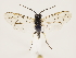  ( - ZMUO.032764)  @13 [ ] CreativeCommons - Attribution Non-Commercial (2018) Marko Mutanen University of Oulu