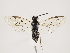  ( - ZMUO.032796)  @12 [ ] CreativeCommons - Attribution Non-Commercial (2018) Marko Mutanen University of Oulu