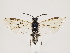  ( - ZMUO.032798)  @12 [ ] CreativeCommons - Attribution Non-Commercial (2018) Marko Mutanen University of Oulu