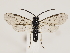  ( - ZMUO.032817)  @15 [ ] CreativeCommons - Attribution Non-Commercial (2018) Marko Mutanen University of Oulu