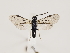  ( - ZMUO.032820)  @14 [ ] CreativeCommons - Attribution Non-Commercial (2018) Marko Mutanen University of Oulu