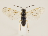  ( - ZMUO.032823)  @11 [ ] CreativeCommons - Attribution Non-Commercial (2018) Marko Mutanen University of Oulu
