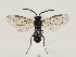  ( - ZMUO.032826)  @12 [ ] CreativeCommons - Attribution Non-Commercial (2018) Marko Mutanen University of Oulu