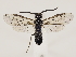  ( - ZMUO.032827)  @12 [ ] CreativeCommons - Attribution Non-Commercial (2018) Marko Mutanen University of Oulu