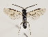  ( - ZMUO.032834)  @15 [ ] CreativeCommons - Attribution Non-Commercial (2018) Marko Mutanen University of Oulu