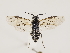  ( - ZMUO.032839)  @12 [ ] CreativeCommons - Attribution Non-Commercial (2018) Marko Mutanen University of Oulu