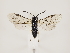  ( - ZMUO.032855)  @15 [ ] CreativeCommons - Attribution Non-Commercial (2018) Marko Mutanen University of Oulu