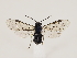  ( - ZMUO.032857)  @15 [ ] CreativeCommons - Attribution Non-Commercial (2018) Marko Mutanen University of Oulu