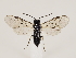  ( - ZMUO.032858)  @15 [ ] CreativeCommons - Attribution Non-Commercial (2018) Marko Mutanen University of Oulu
