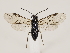  ( - ZMUO.032872)  @15 [ ] CreativeCommons - Attribution Non-Commercial (2018) Marko Mutanen University of Oulu