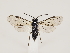  ( - ZMUO.032894)  @15 [ ] CreativeCommons - Attribution Non-Commercial (2018) Marko Mutanen University of Oulu
