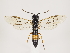  ( - ZMUO.032903)  @13 [ ] CreativeCommons - Attribution Non-Commercial (2018) Marko Mutanen University of Oulu