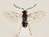  ( - ZMUO.032912)  @11 [ ] CreativeCommons - Attribution Non-Commercial (2018) Marko Mutanen University of Oulu