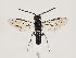  ( - ZMUO.032991)  @12 [ ] CreativeCommons - Attribution Non-Commercial (2018) Marko Mutanen University of Oulu
