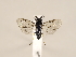  ( - ZMUO.032993)  @12 [ ] CreativeCommons - Attribution Non-Commercial (2018) Marko Mutanen University of Oulu