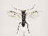  ( - ZMUO.032998)  @13 [ ] CreativeCommons - Attribution Non-Commercial (2018) Marko Mutanen University of Oulu