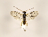  ( - ZMUO.033004)  @13 [ ] CreativeCommons - Attribution Non-Commercial (2018) Marko Mutanen University of Oulu