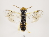  ( - ZMUO.033041)  @12 [ ] CreativeCommons - Attribution Non-Commercial (2018) Marko Mutanen University of Oulu