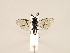  ( - ZMUO.033054)  @12 [ ] CreativeCommons - Attribution Non-Commercial (2018) Marko Mutanen University of Oulu