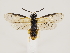  ( - ZMUO.033085)  @13 [ ] CreativeCommons - Attribution Non-Commercial (2018) Marko Mutanen University of Oulu