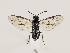  ( - ZMUO.033088)  @12 [ ] CreativeCommons - Attribution Non-Commercial (2018) Marko Mutanen University of Oulu