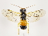  ( - ZMUO.033092)  @13 [ ] CreativeCommons - Attribution Non-Commercial (2018) Marko Mutanen University of Oulu