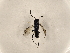 ( - ZMUO.033107)  @12 [ ] CreativeCommons - Attribution Non-Commercial (2018) Marko Mutanen University of Oulu