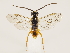  ( - ZMUO.033132)  @12 [ ] CreativeCommons - Attribution Non-Commercial (2018) Marko Mutanen University of Oulu