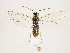  ( - ZMUO.033175)  @13 [ ] CreativeCommons - Attribution Non-Commercial (2018) Marko Mutanen University of Oulu