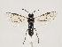  ( - ZMUO.033181)  @12 [ ] CreativeCommons - Attribution Non-Commercial (2018) Marko Mutanen University of Oulu