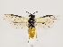  ( - ZMUO.033185)  @13 [ ] CreativeCommons - Attribution Non-Commercial (2018) Marko Mutanen University of Oulu