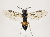  ( - ZMUO.033204)  @14 [ ] CreativeCommons - Attribution Non-Commercial (2018) Marko Mutanen University of Oulu
