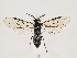  ( - ZMUO.033212)  @14 [ ] CreativeCommons - Attribution Non-Commercial (2018) Marko Mutanen University of Oulu