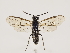  ( - ZMUO.033214)  @12 [ ] CreativeCommons - Attribution Non-Commercial (2018) Marko Mutanen University of Oulu
