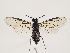  ( - ZMUO.033215)  @14 [ ] CreativeCommons - Attribution Non-Commercial (2018) Marko Mutanen University of Oulu