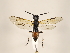  ( - ZMUO.033222)  @13 [ ] CreativeCommons - Attribution Non-Commercial (2018) Marko Mutanen University of Oulu