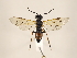  ( - ZMUO.033223)  @13 [ ] CreativeCommons - Attribution Non-Commercial (2018) Marko Mutanen University of Oulu
