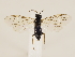  ( - ZMUO.033240)  @13 [ ] CreativeCommons - Attribution Non-Commercial (2018) Marko Mutanen University of Oulu