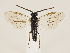  ( - ZMUO.033258)  @11 [ ] CreativeCommons - Attribution Non-Commercial (2018) Marko Mutanen University of Oulu