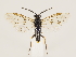  ( - ZMUO.033261)  @13 [ ] CreativeCommons - Attribution Non-Commercial (2018) Marko Mutanen University of Oulu