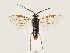  ( - ZMUO.033262)  @12 [ ] CreativeCommons - Attribution Non-Commercial (2018) Marko Mutanen University of Oulu
