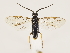  ( - ZMUO.033264)  @12 [ ] CreativeCommons - Attribution Non-Commercial (2018) Marko Mutanen University of Oulu