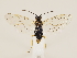  ( - ZMUO.033267)  @13 [ ] CreativeCommons - Attribution Non-Commercial (2018) Marko Mutanen University of Oulu