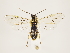  ( - ZMUO.033270)  @13 [ ] CreativeCommons - Attribution Non-Commercial (2018) Marko Mutanen University of Oulu