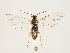  ( - ZMUO.033271)  @13 [ ] CreativeCommons - Attribution Non-Commercial (2018) Marko Mutanen University of Oulu