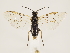  ( - ZMUO.033276)  @13 [ ] CreativeCommons - Attribution Non-Commercial (2018) Marko Mutanen University of Oulu