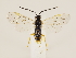  ( - ZMUO.033297)  @11 [ ] CreativeCommons - Attribution Non-Commercial (2018) Marko Mutanen University of Oulu